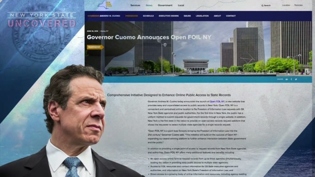 Screenshot of New York's new transparency website